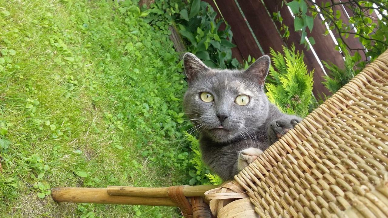 Pokoje Goscinne "Tak Lubisz" Gardna Wielka Exterior foto